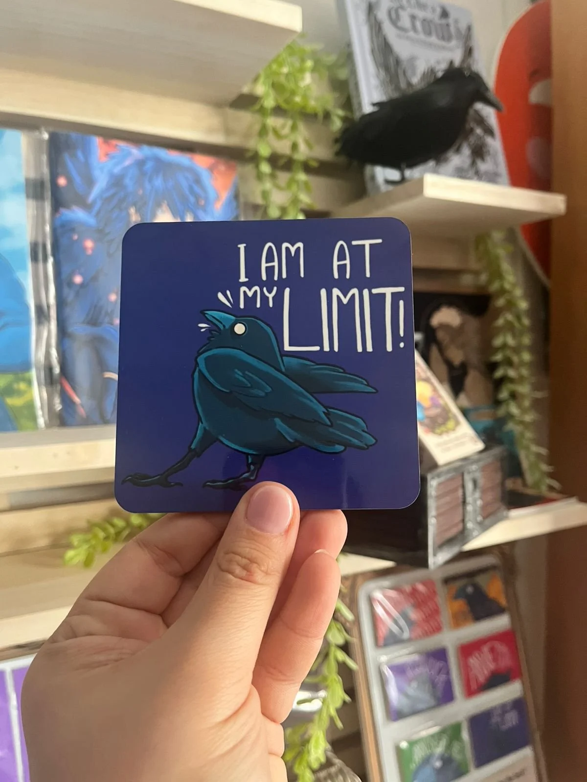 I'm at my limit Handmade Coaster