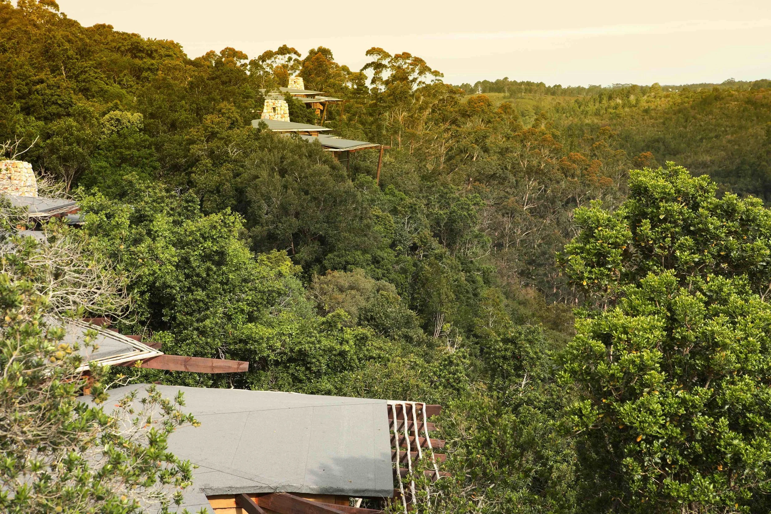 Hillside homes with metal roofs surrounded by dense green forest.