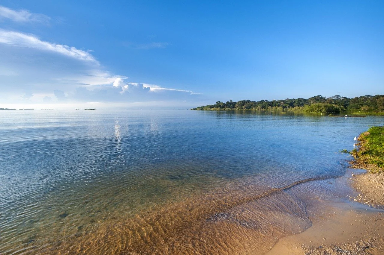 Lake Victoria shoreline in Uganda