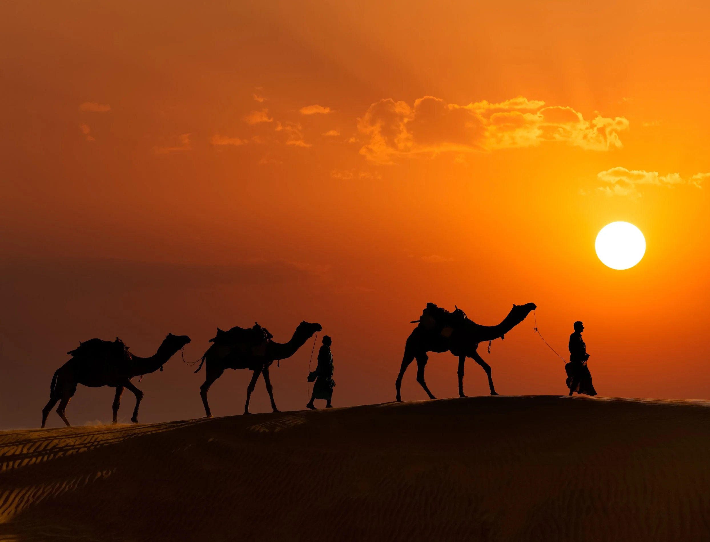 Silhouettes of two people leading three camels walking on desert sand dunes at sunset with an orange sky and the sun low on the horizon.