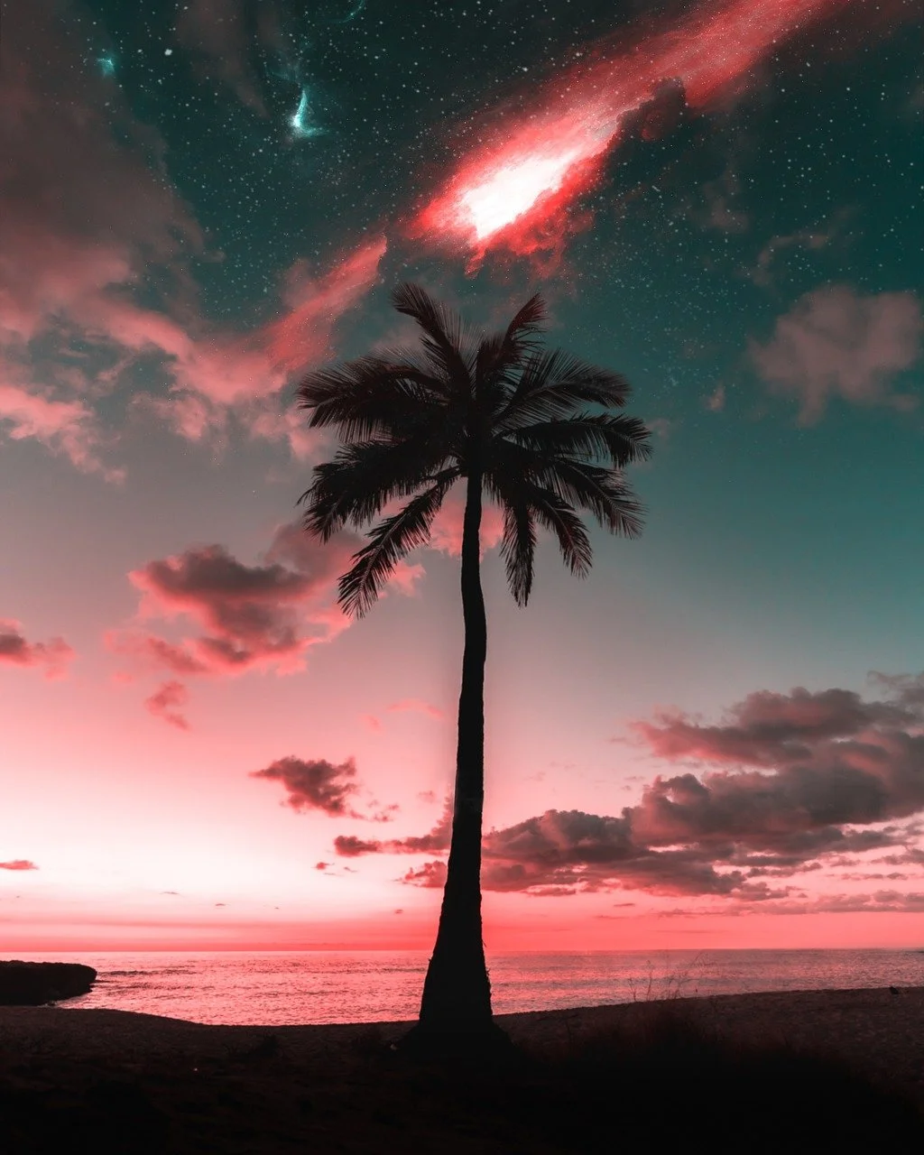 A palm tree stands against a fiery Seychelles sky