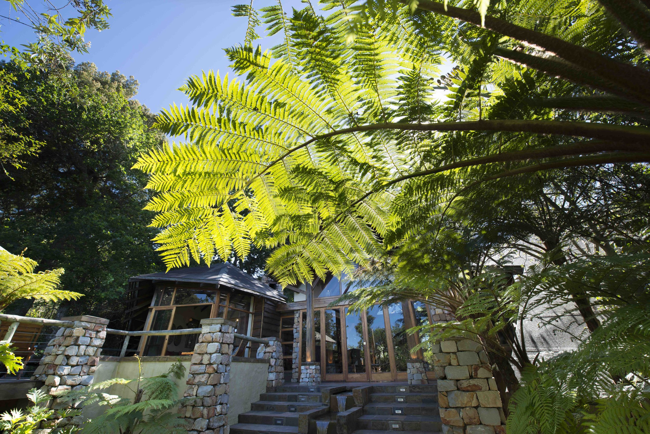 A house surrounded by lush greenery and large fern trees, with stone steps leading up to a wooden and glass entrance, under a clear blue sky.