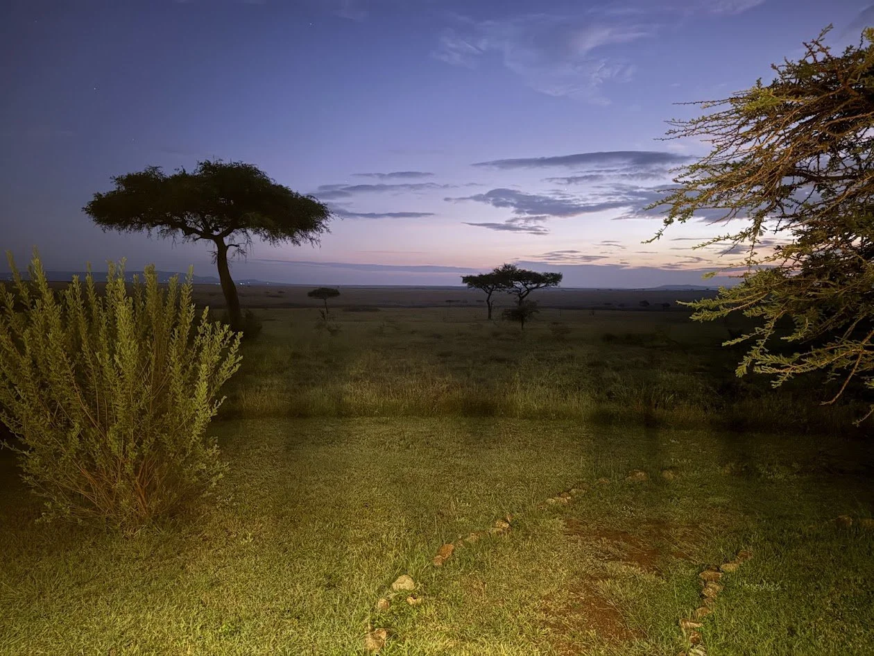 Kenya’s twilight savanna