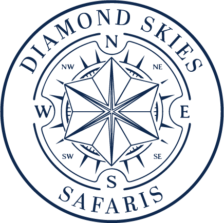 Logo of Diamond Skies Safaris featuring a blue compass rose with cardinal directions inside a circular border.