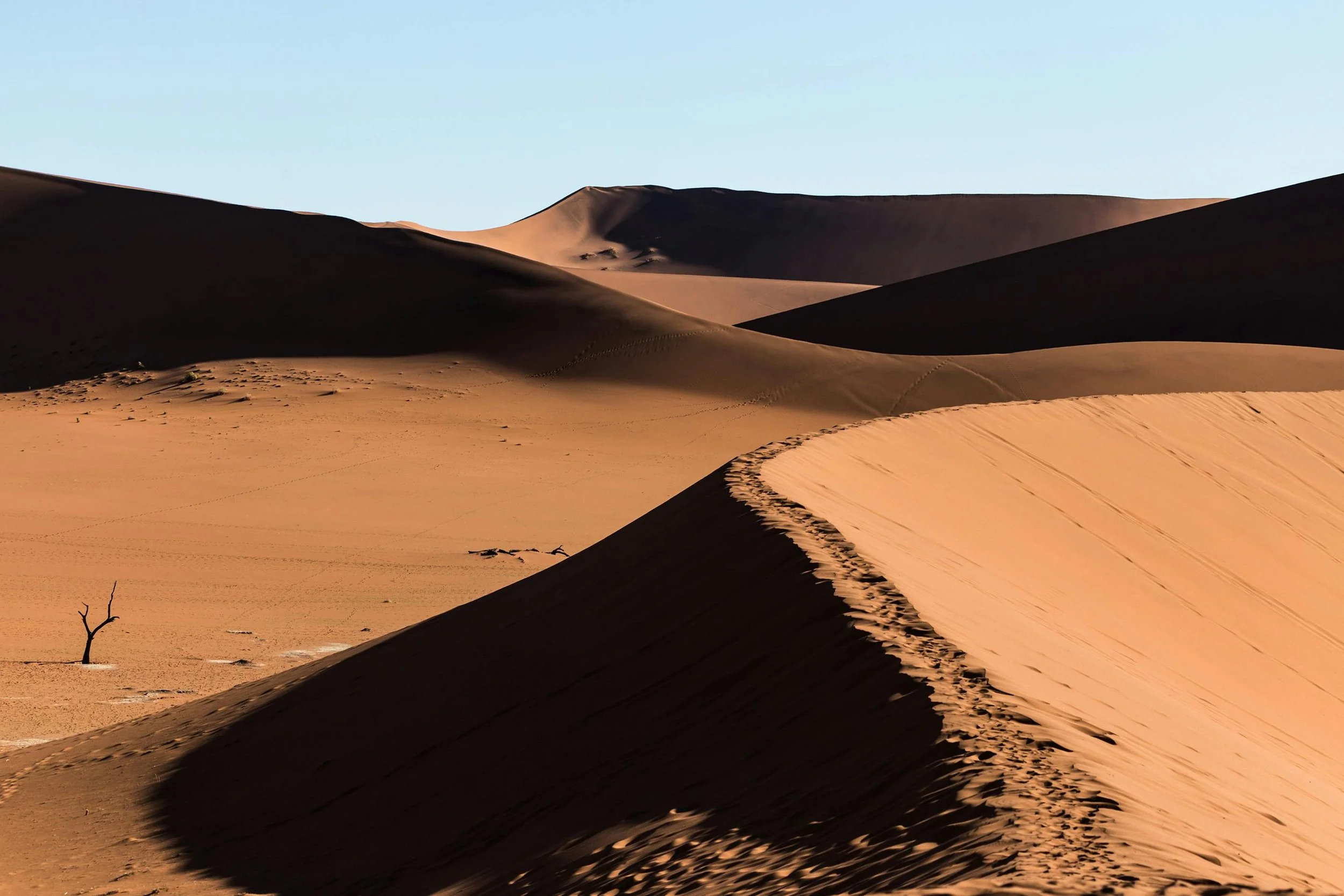 Towering sand dunes in Namibia’s desert landscape with dramatic shadows and a lone tree, showcasing the stark beauty and isolation of African wilderness for the perfect luxury safari