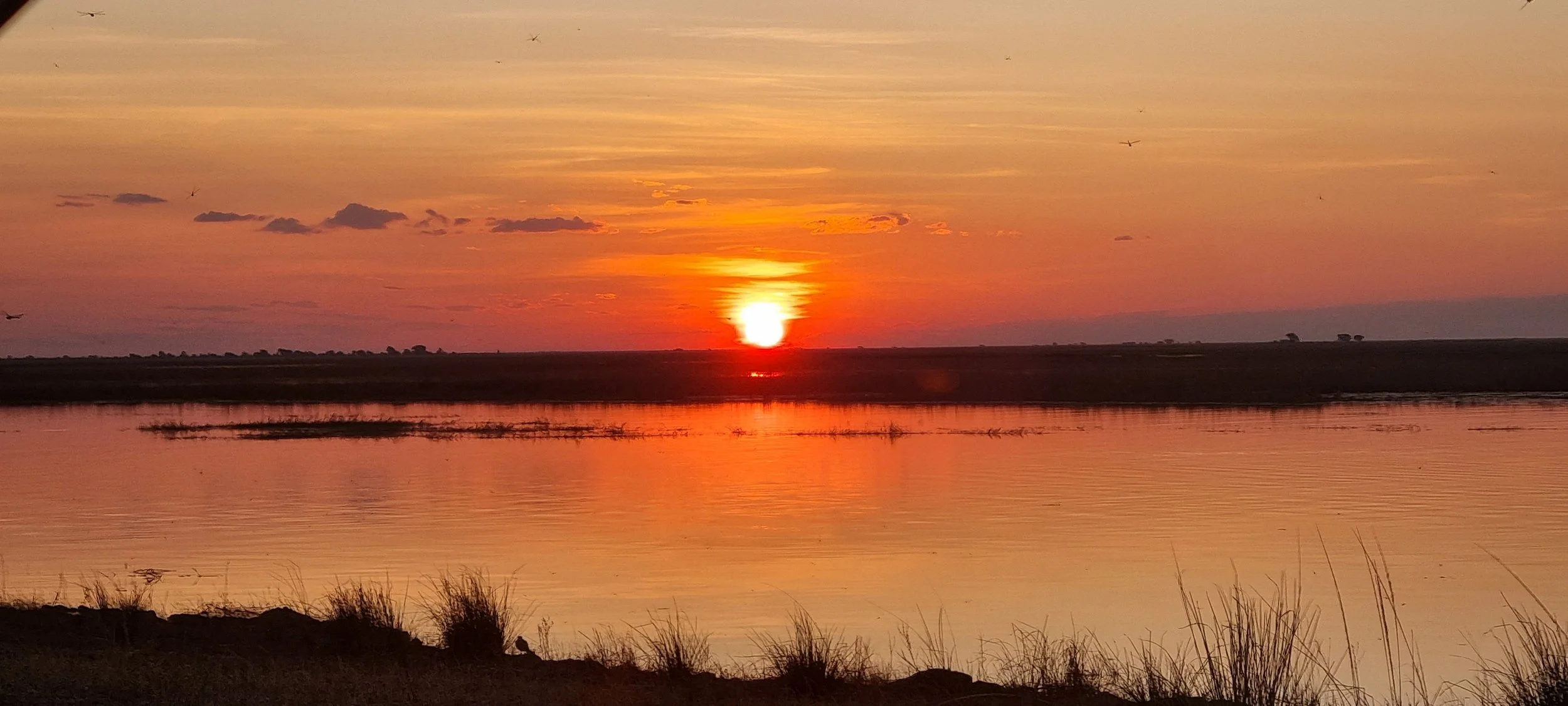 Sunset over water on safari