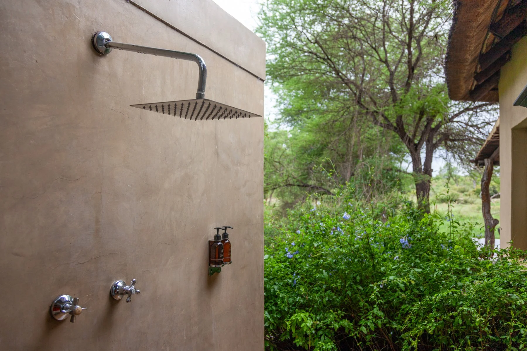 An outdoor shower with a rainfall showerhead, two control knobs, and soap dispensers mounted on a wall, opening to lush greenery and trees.