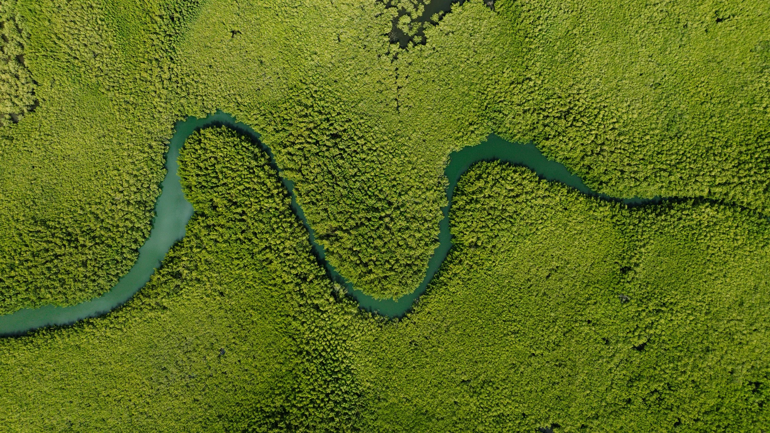 Wide African river flowing during wet season, showing lush safari landscape and seasonal travel conditions