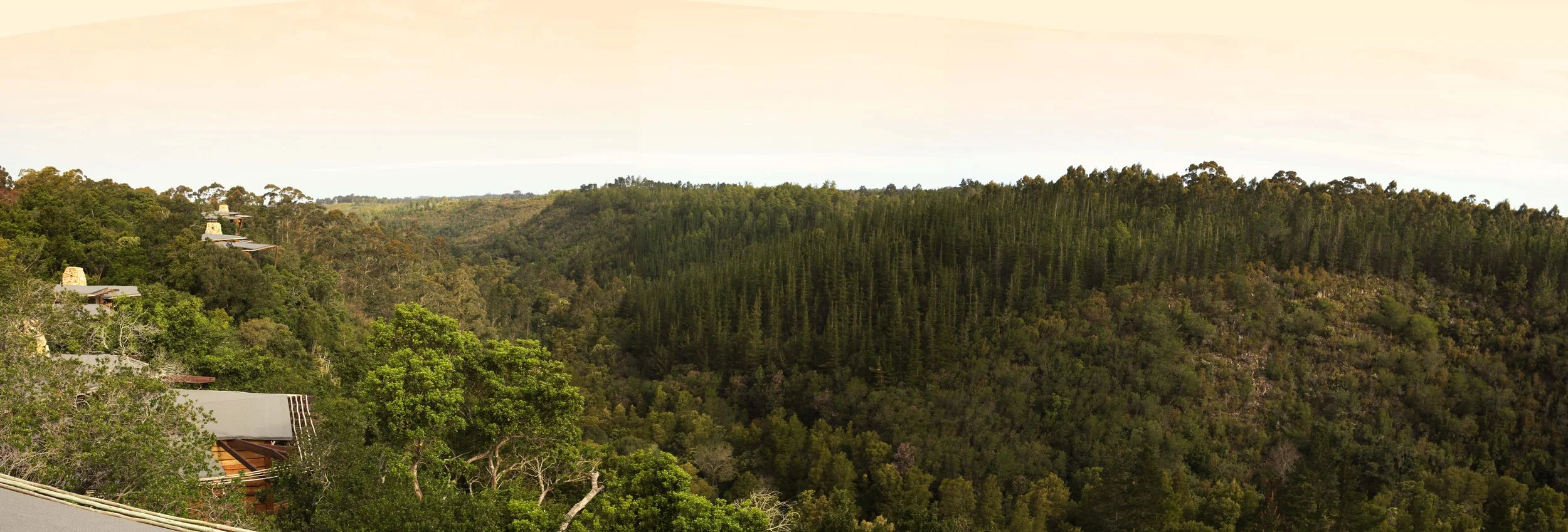 View of forested hills with some houses on the left side, dense trees covering the hills, under a light sky.