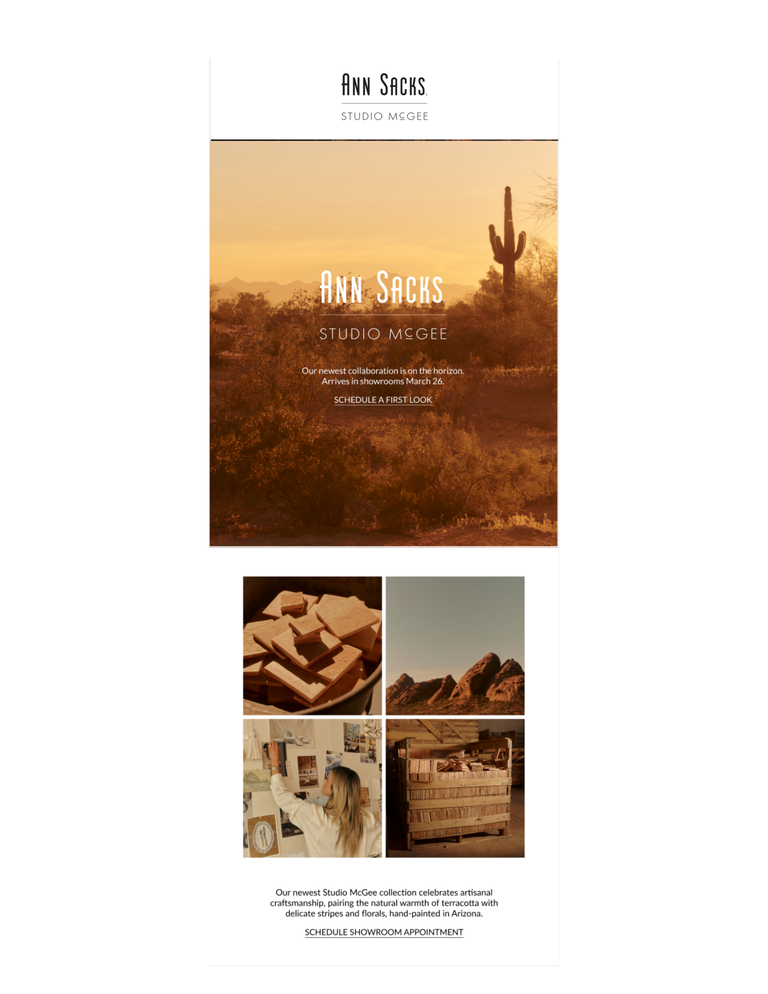 AS SMG Email teaser 1.png