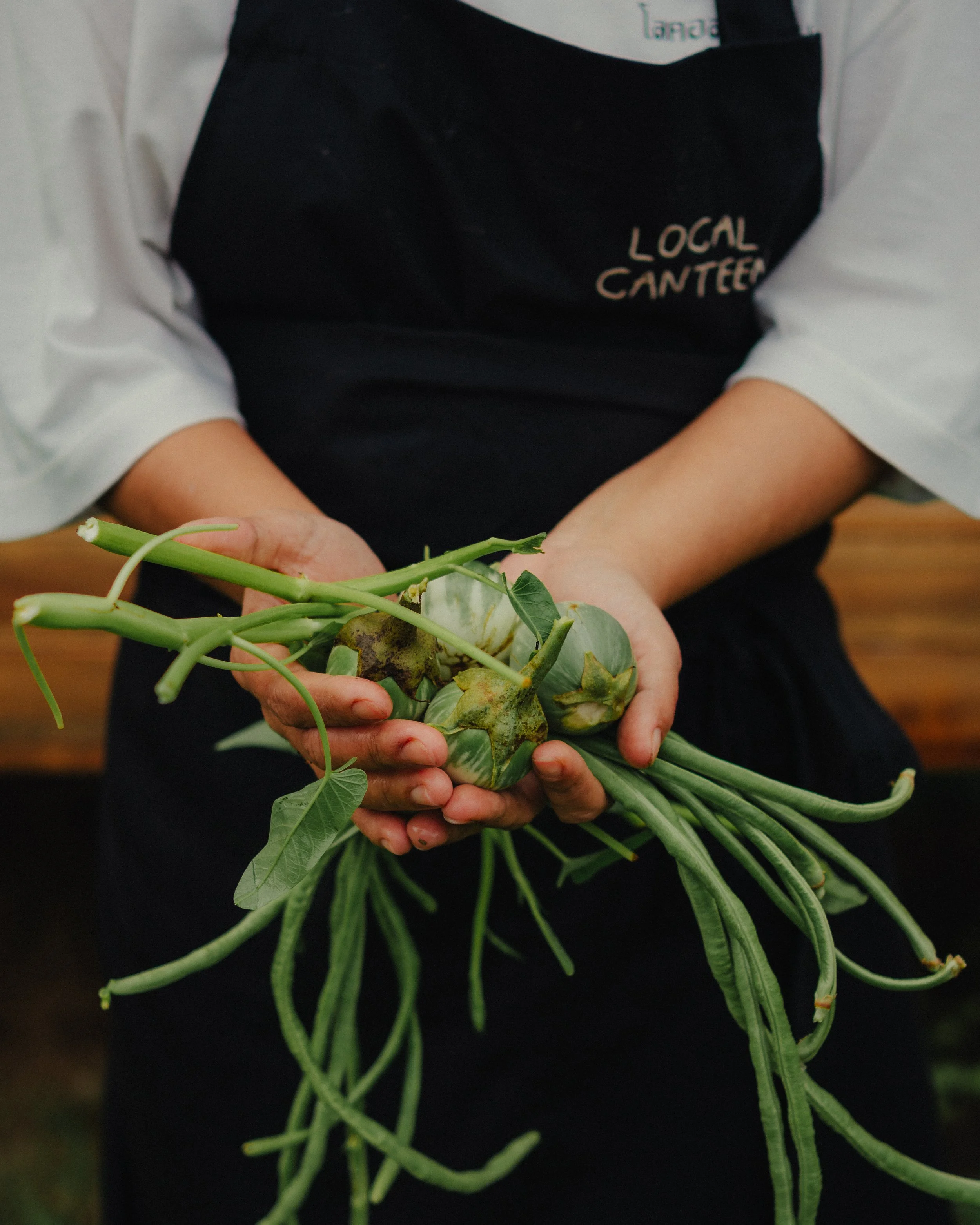We have own local garden at Local Canteen Phuket, we serve fresh and organic own grown vegetables, cooking in house with Thai menu