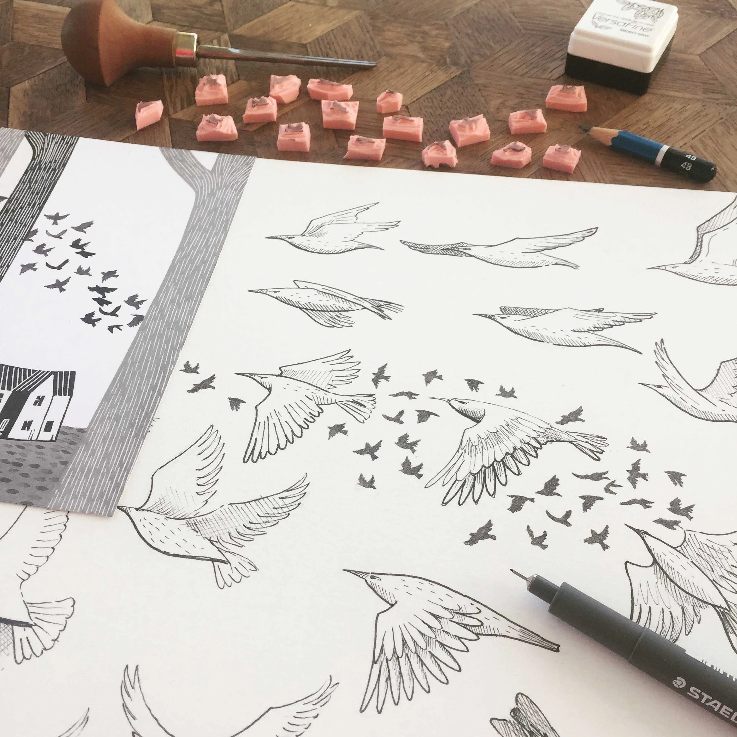 birds-sketchbook-illustration.JPG