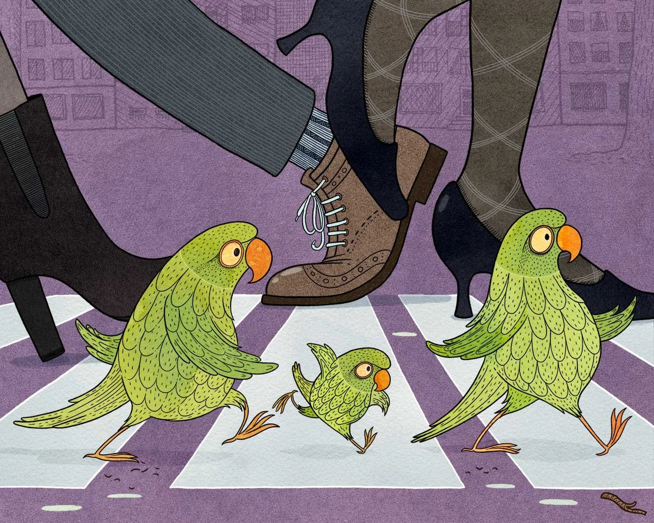 London Parakeets walking across the road