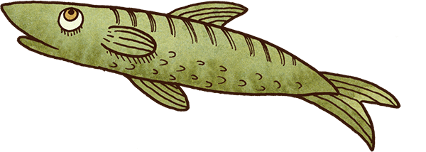 Childrens Illustration of a green fish with detailed fins and a large eye.