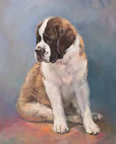 JS 542 St. Bernard