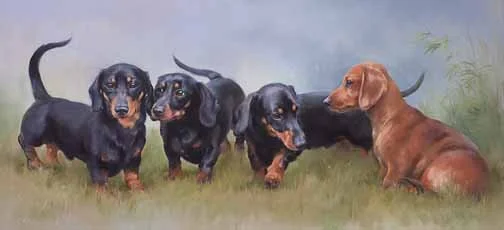 Miniature Smooth Haired Dachshunds - by Jacqueline Stanhope