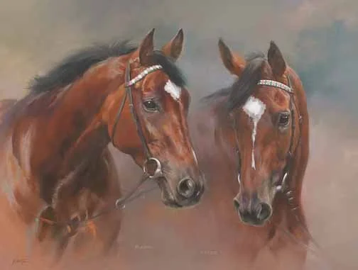 JS 617 Frankel and Enable