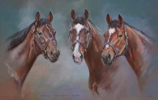 JS 408 C  Montjeu, Sadler's Wells and Galileo