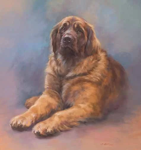 JS 594 Leonberger