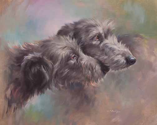 JS 423 Scottish Deerhounds