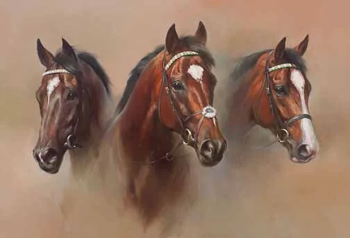 JS 502 Frankel, Bullet Train, Noble Mission