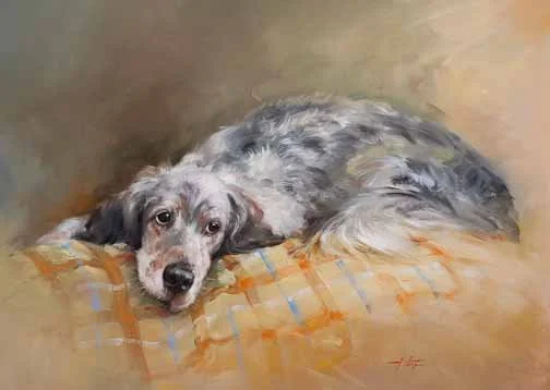 JS 323 Resting English Setter
