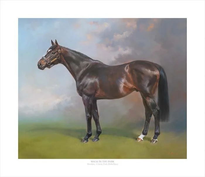 A fine art print of champion national hunt stallion Walk In The Park at Grange Stud in Ireland. He is the sire of Jonbon, and Inothewayurthinkin. From an original oil painting by Jacqueline Stanhope.