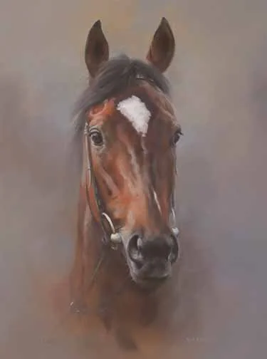 JS 656 Porta Fortuna