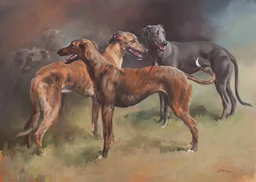 JS 416 Lurchers