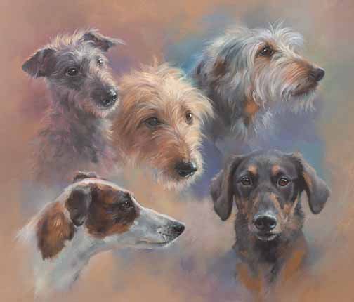 JS 610 Longdogs and Lurchers