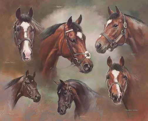 JS 400 The Frankel Sire LIne