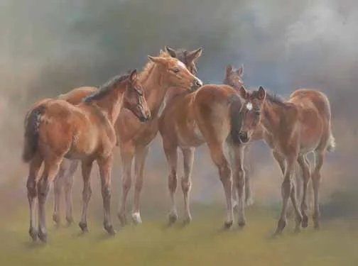 JS 660 Constellation