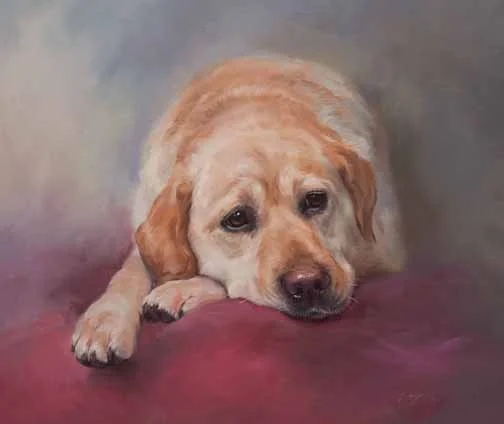 JS 430 Patience (Yellow Labrador Retriever)