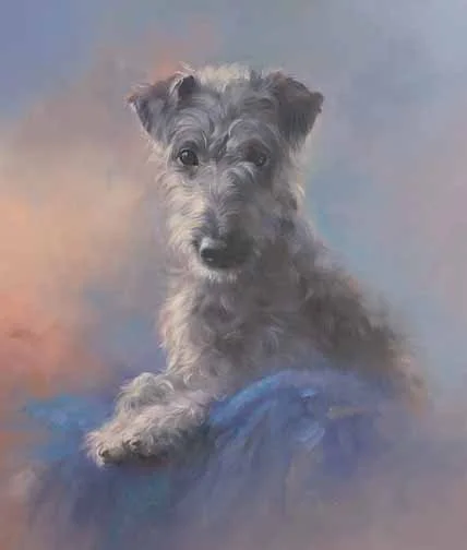 JS 609 Dottie (Bedlington Terrier - Whippett Cross)