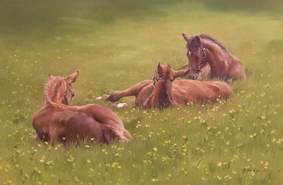 A gallery of equine art prints and paintings by Jacqueline Stanhope. Images of thoroughbred mares and foals. Horses in fields and paddocks resting and grazing. Running horses and stud scenes.