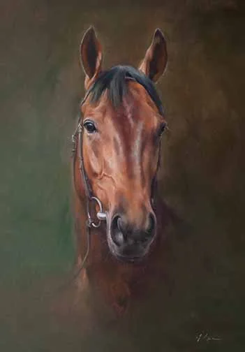 JS 317 Sea The Stars