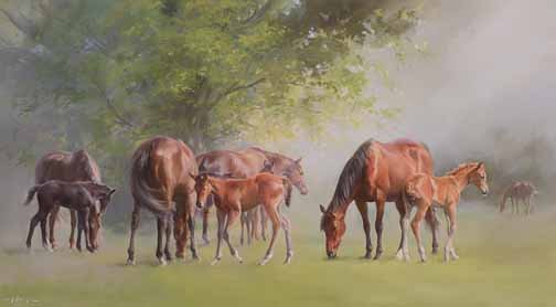 JS 526 C  Tranquillity