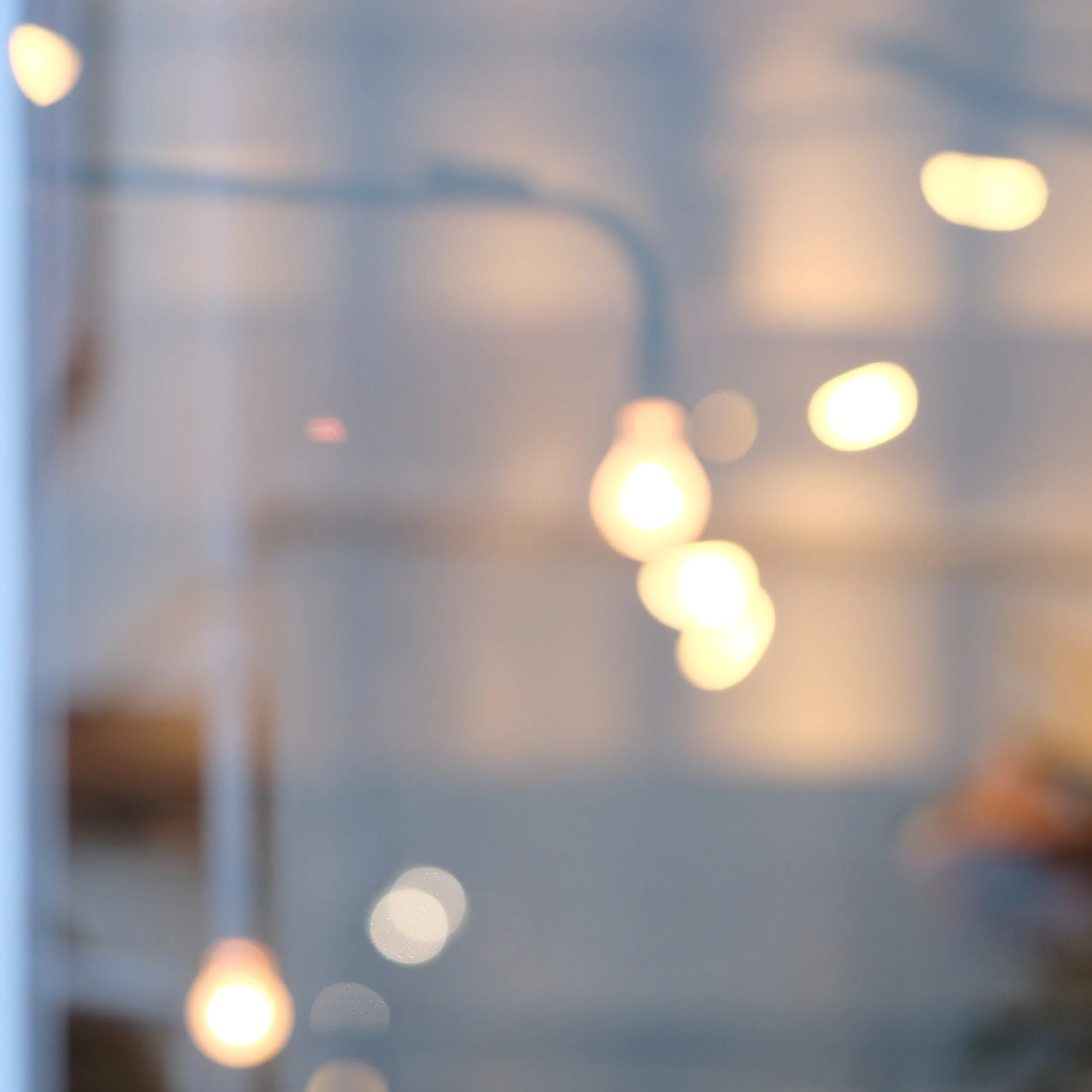 What is your fondest memory?