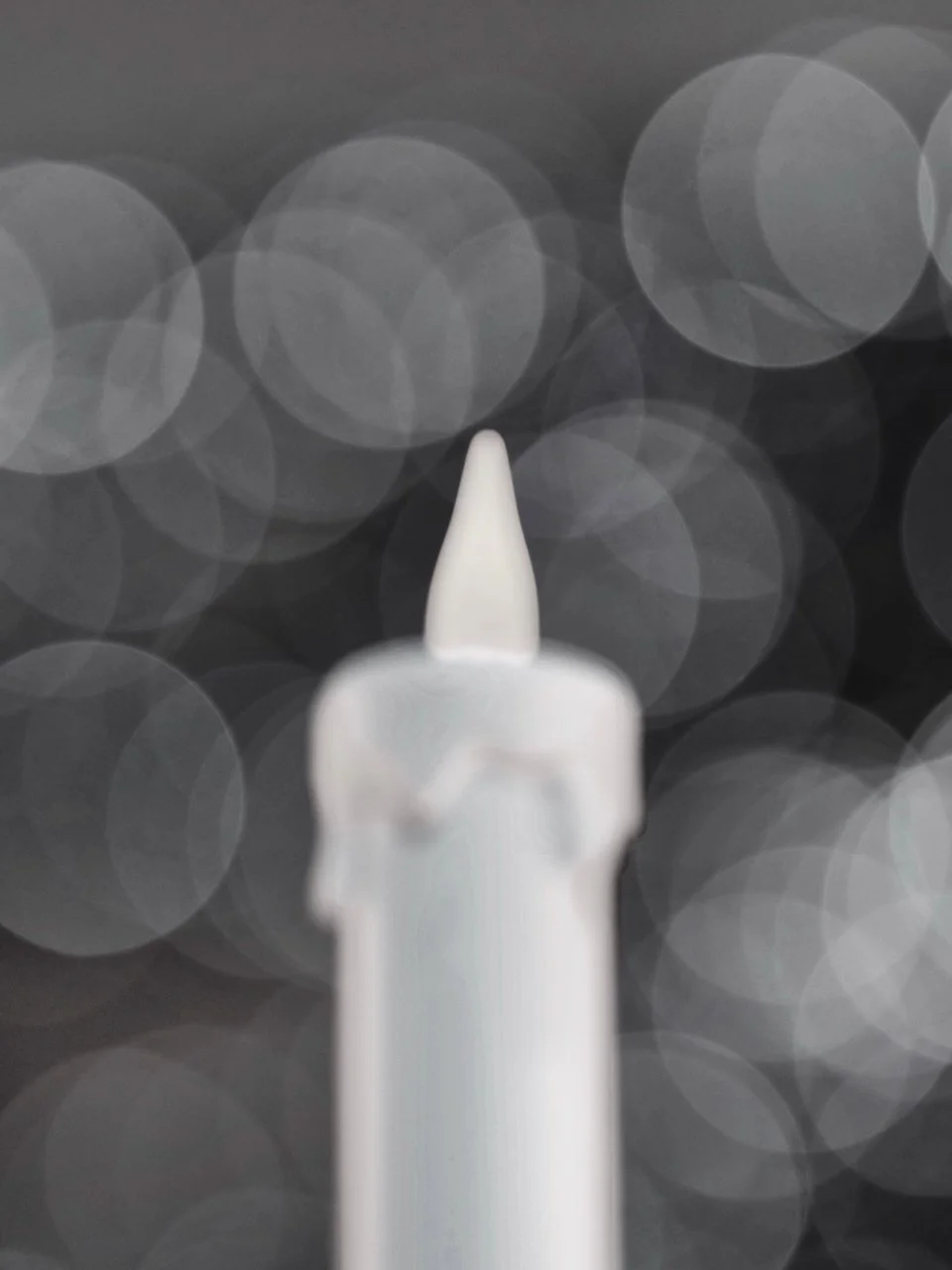 ディナーは何にいたしましょう?