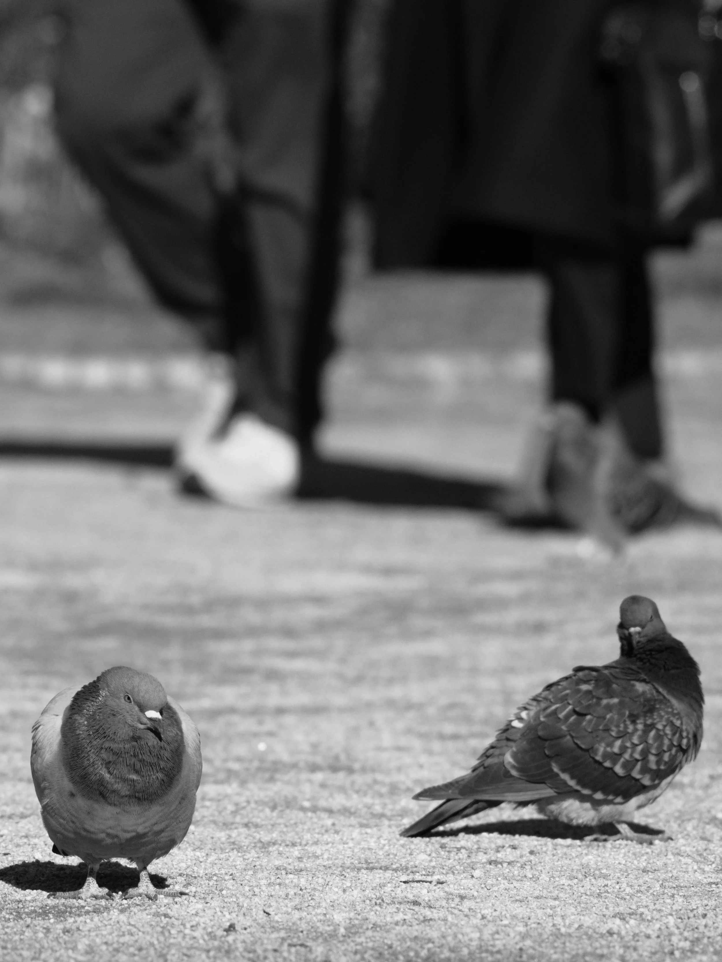 僕たちのこと友達に話したりしないでね