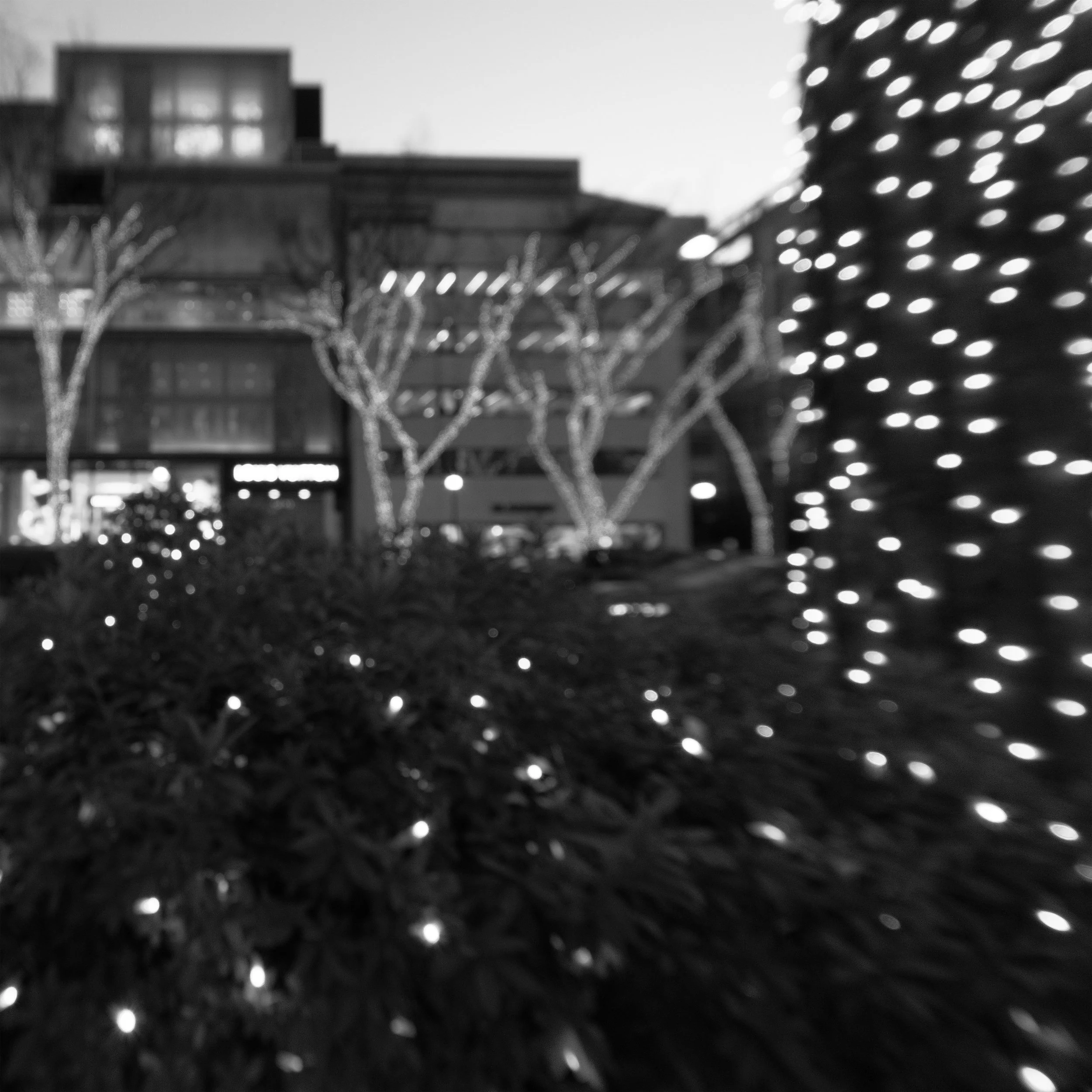 Have a restful holiday