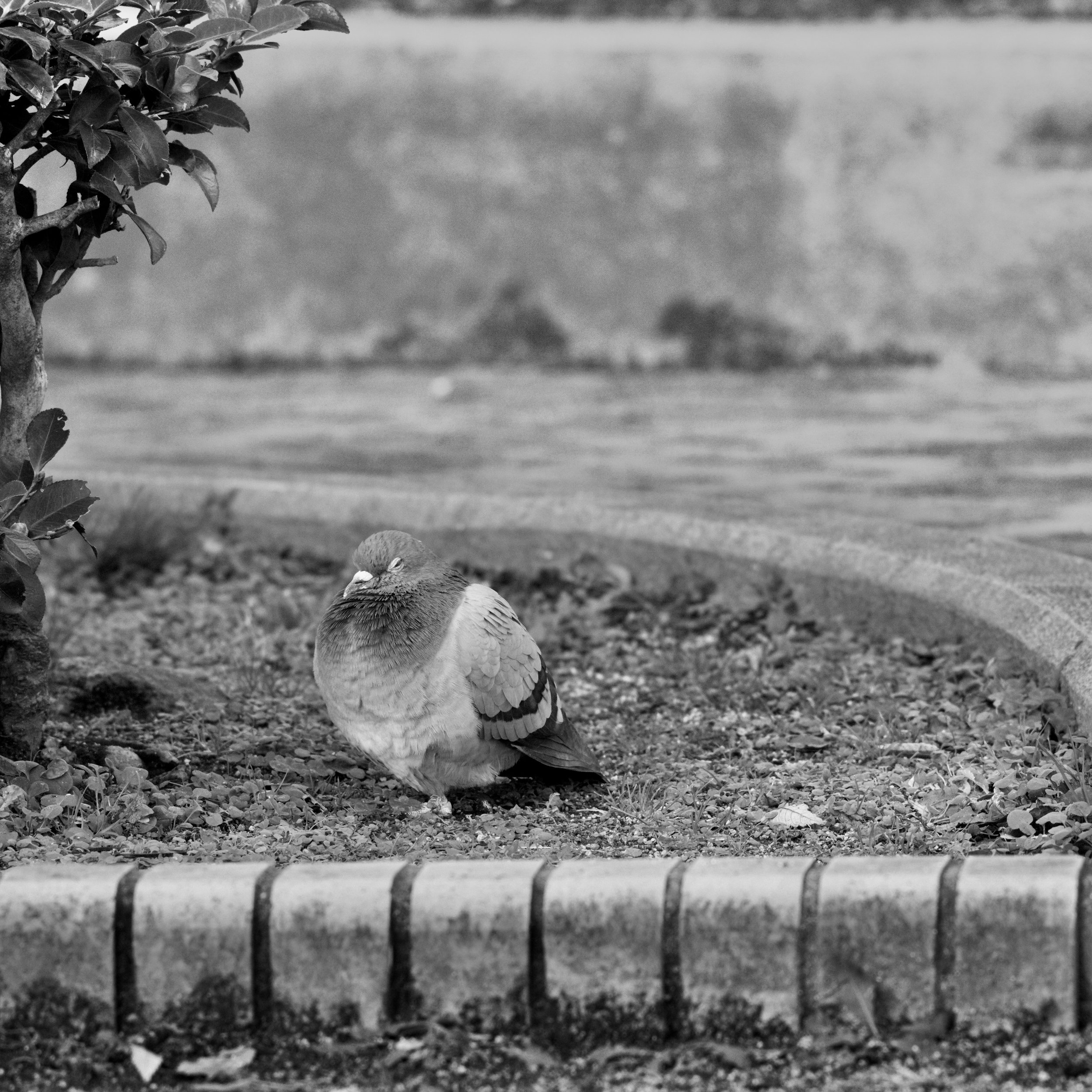 沈黙を楽しもう