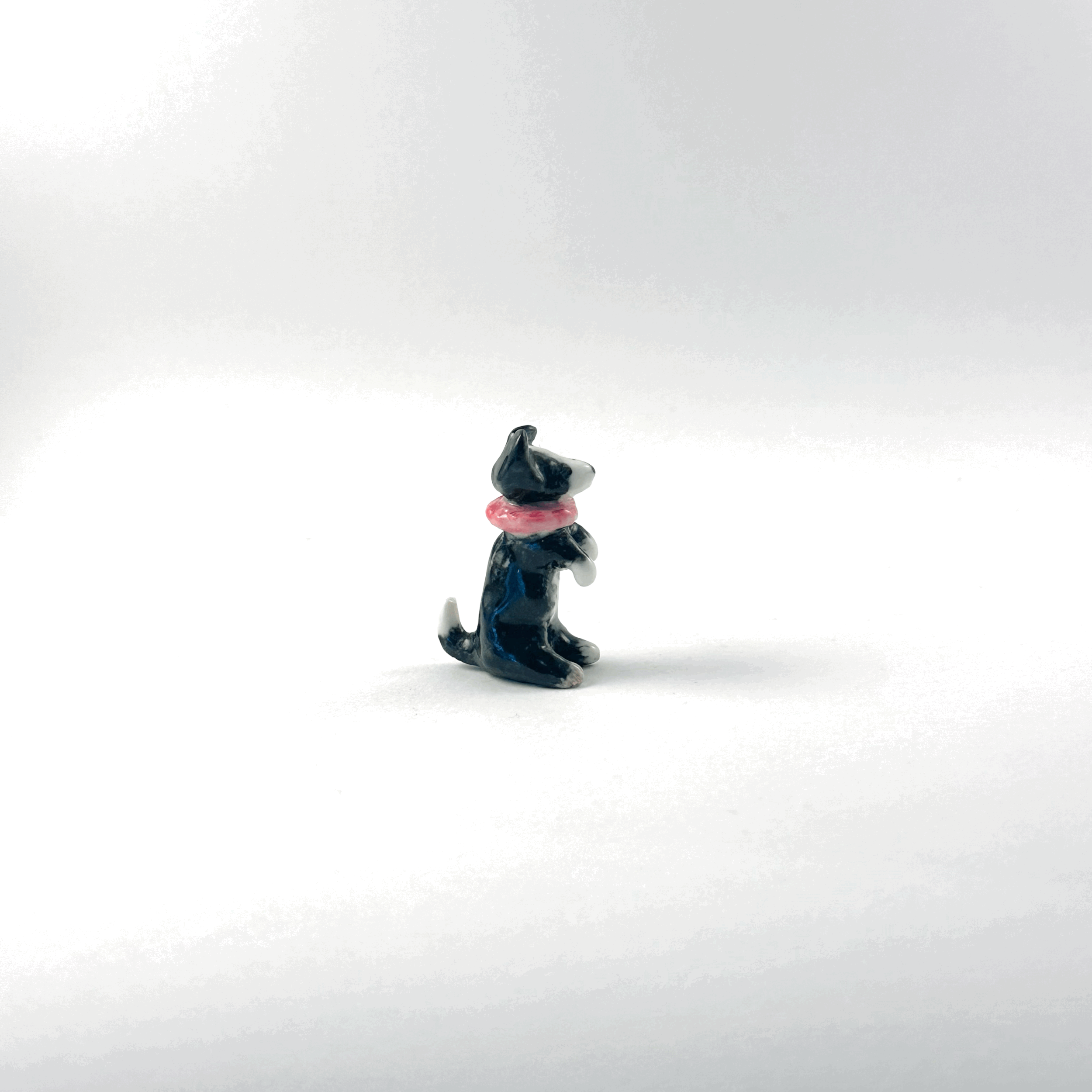 tempImageZ2XFS4.gif