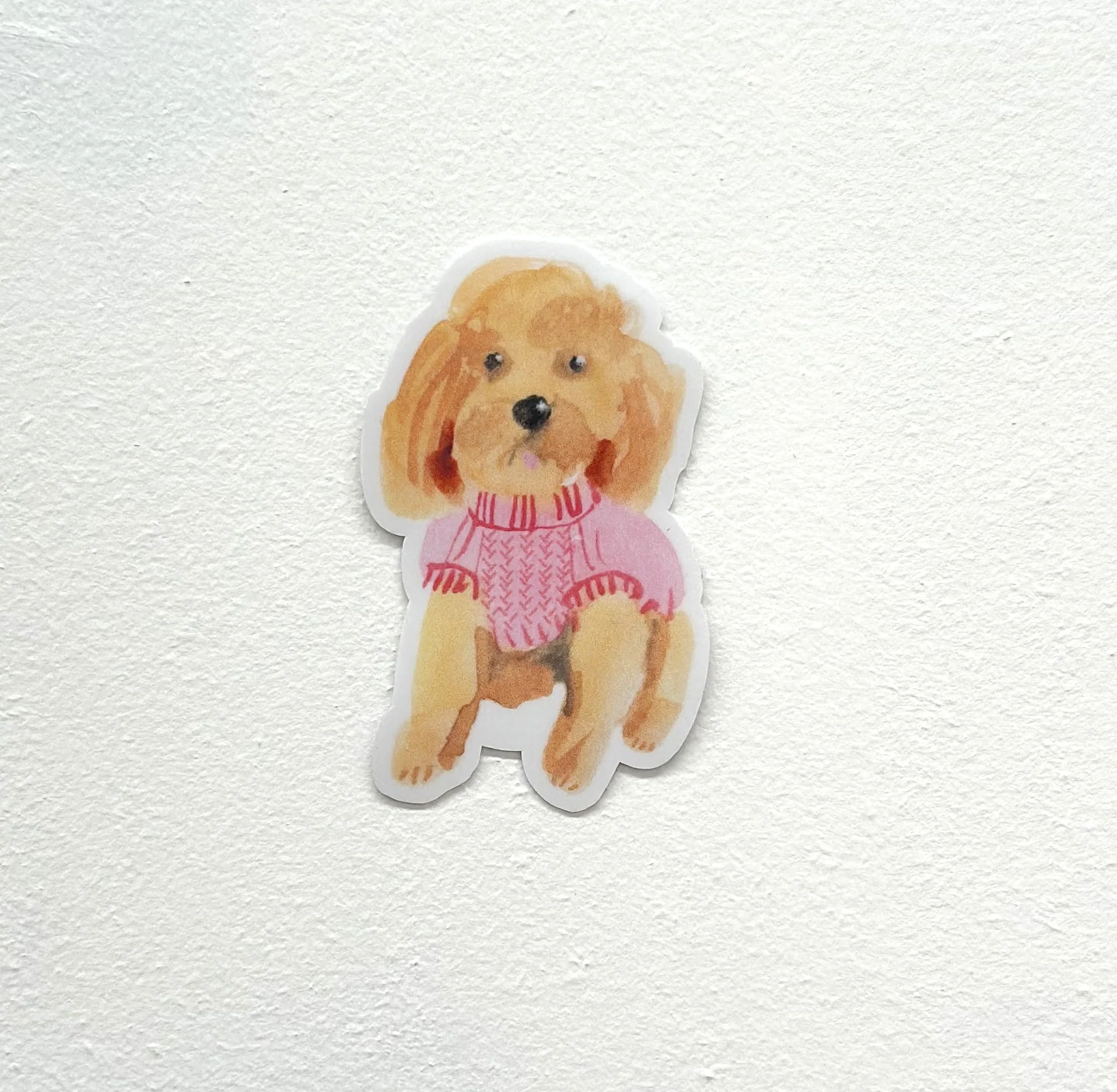 dog-pink-jumper.jpg