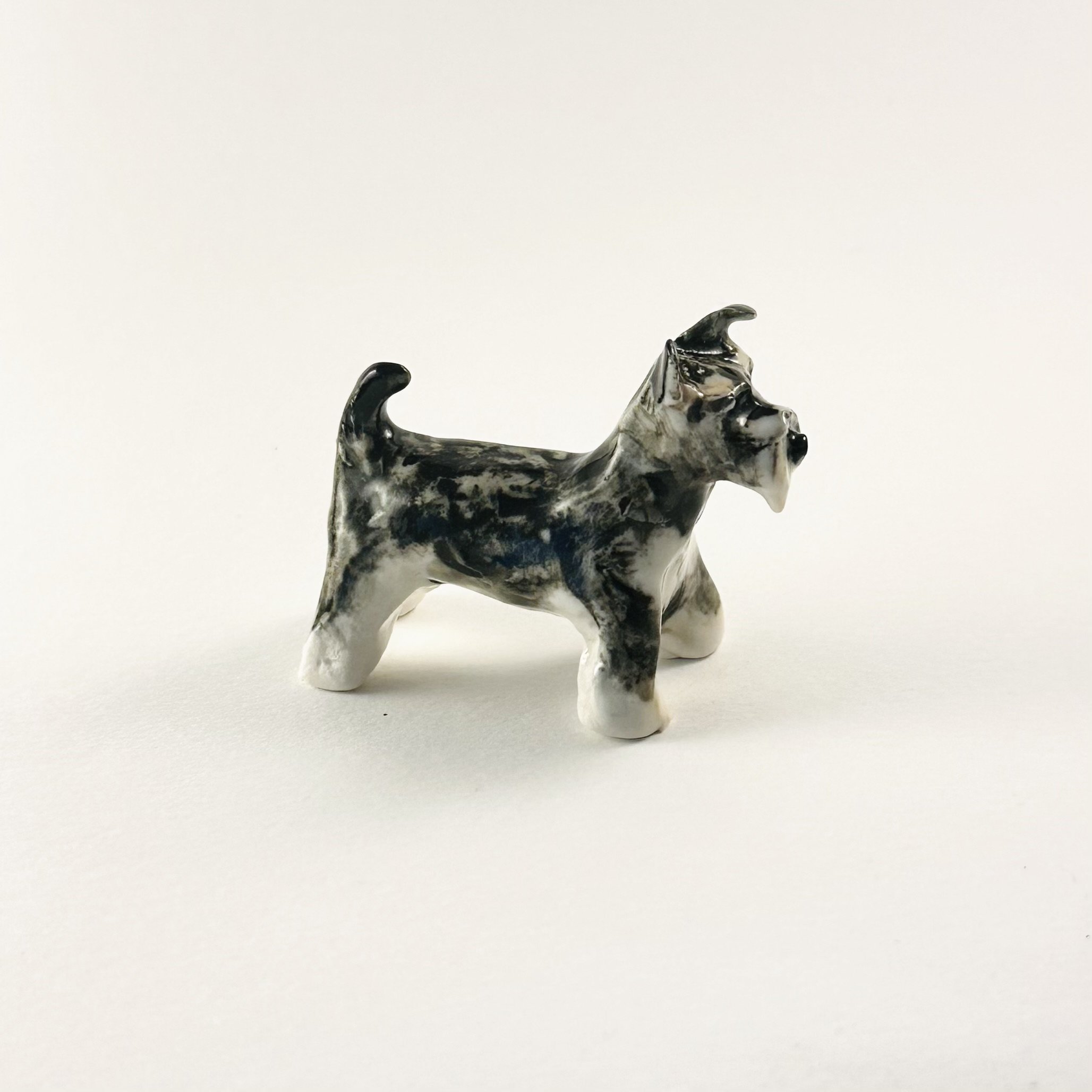 Schnauzer