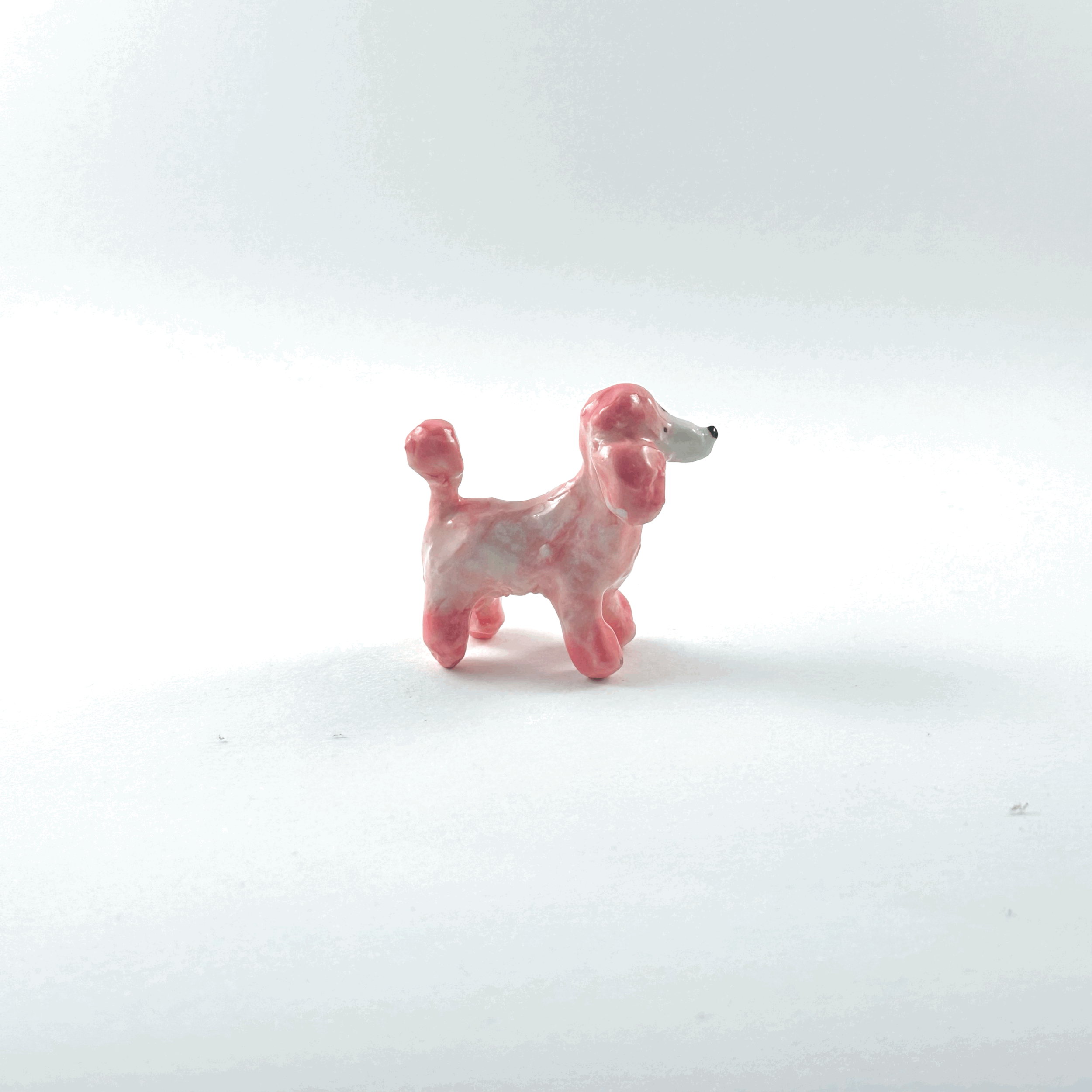 tempImageW4CE1Y.gif