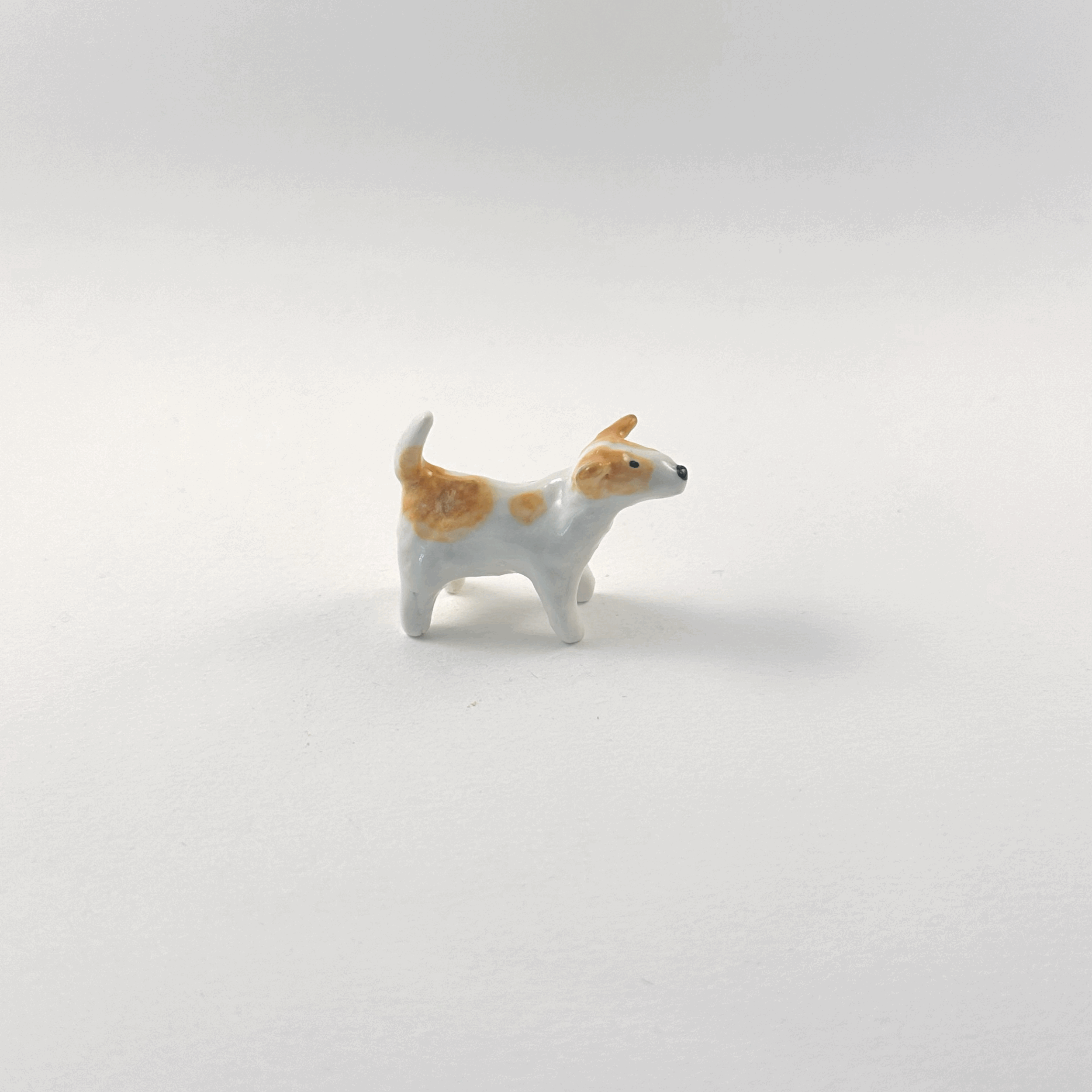 tempImageZjFO4e.gif