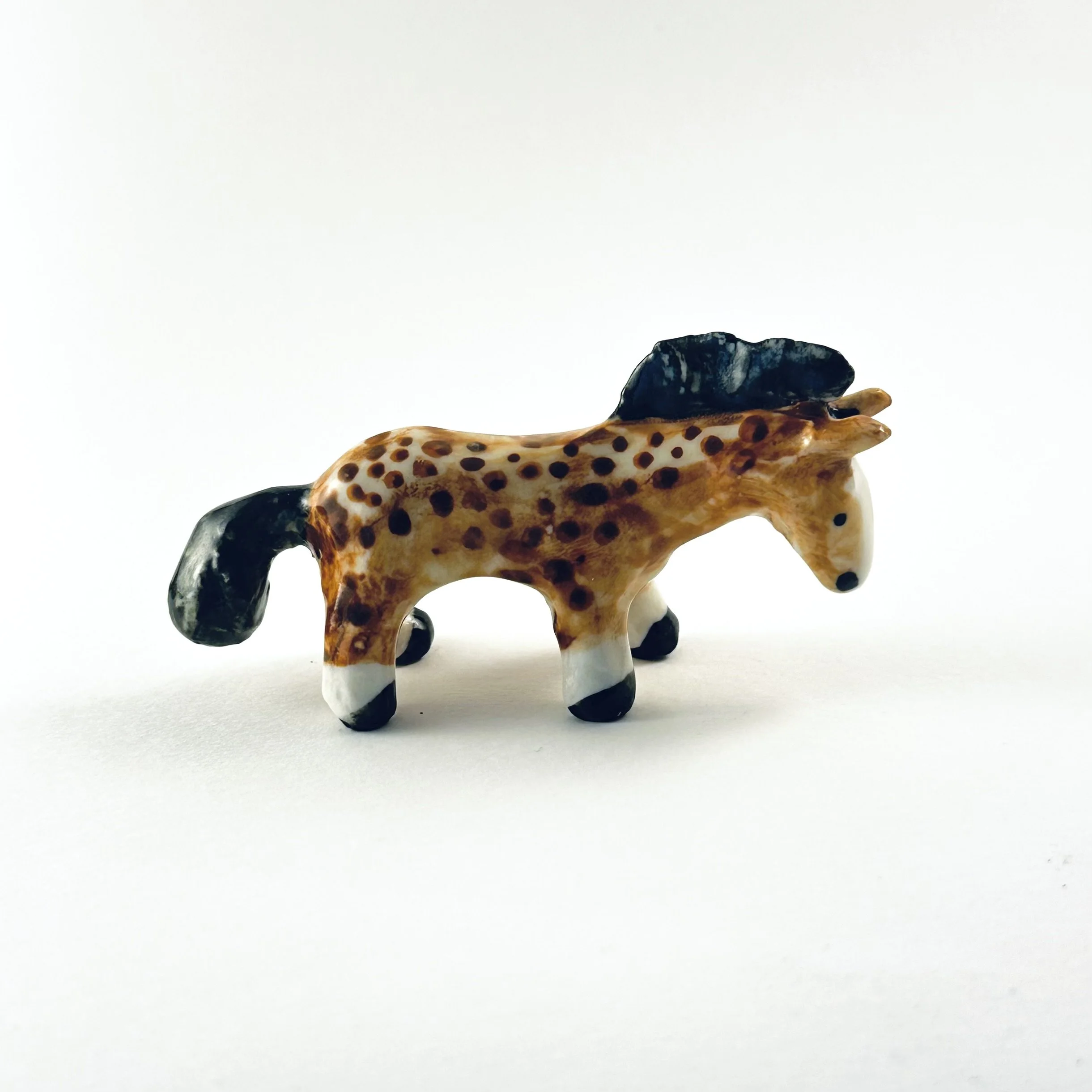 Bay horse with dapples