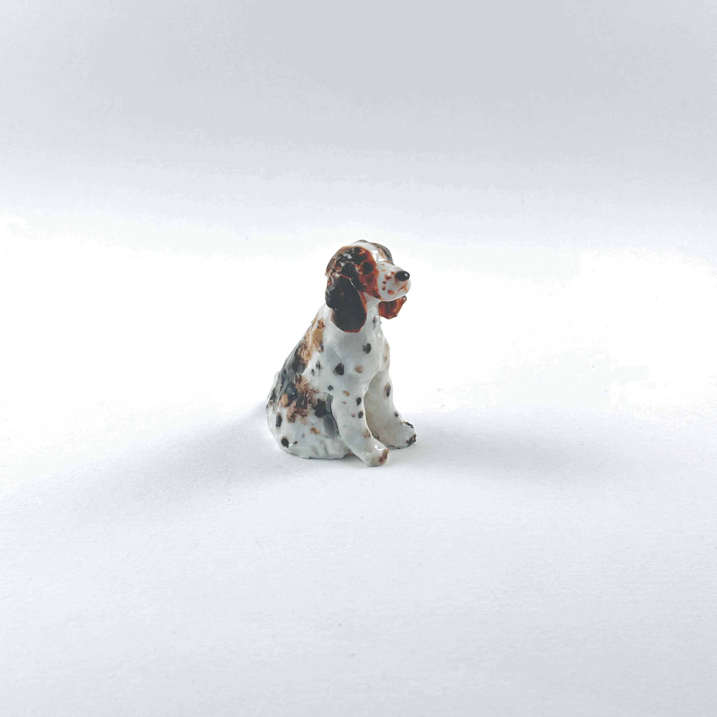 tempImage31hQXV.gif