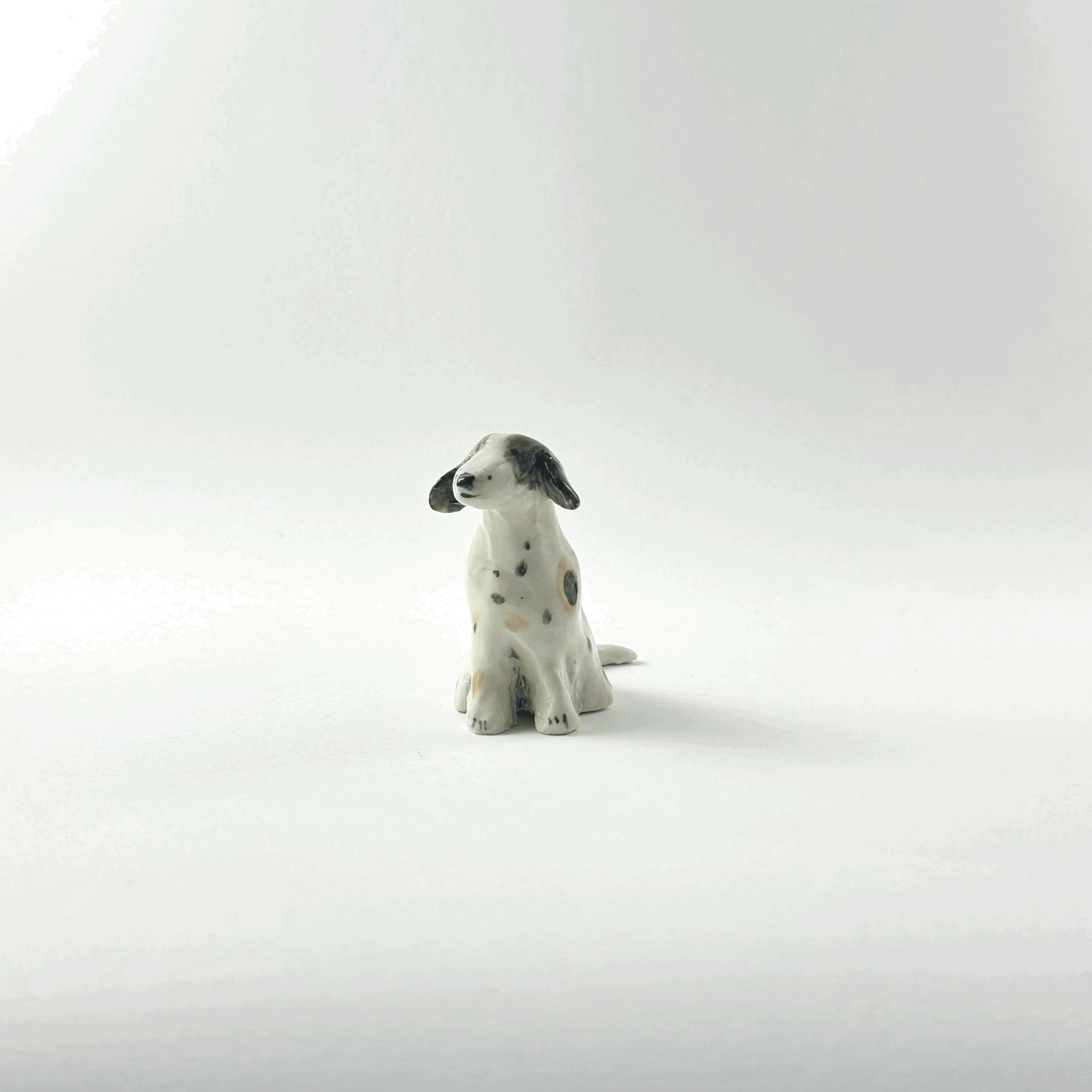 tempImagesZNcc2.gif